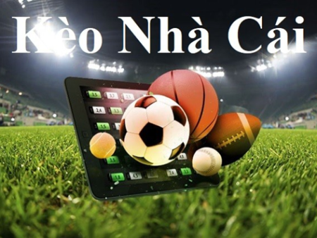 NEW88 game 24h 2 người đánh nhau